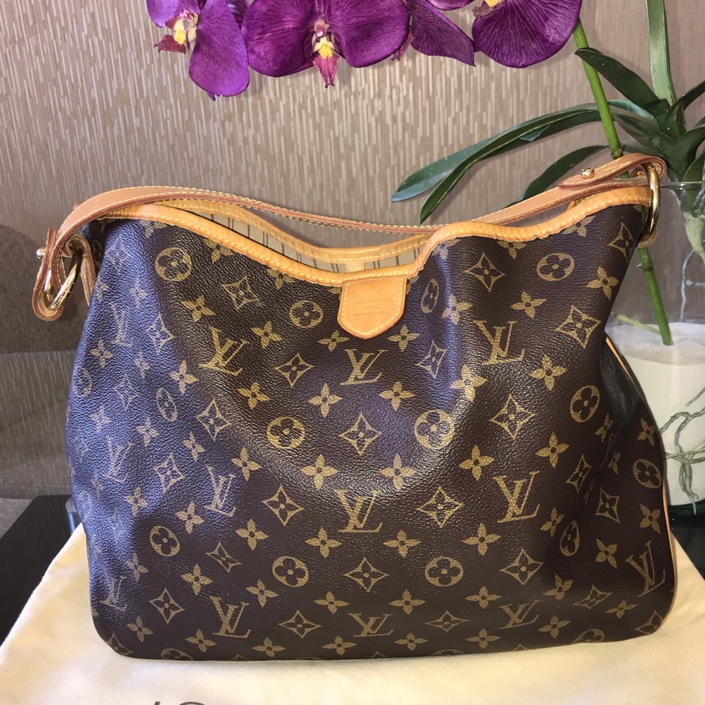 Louis Vuitton Delightfull Pm monogram